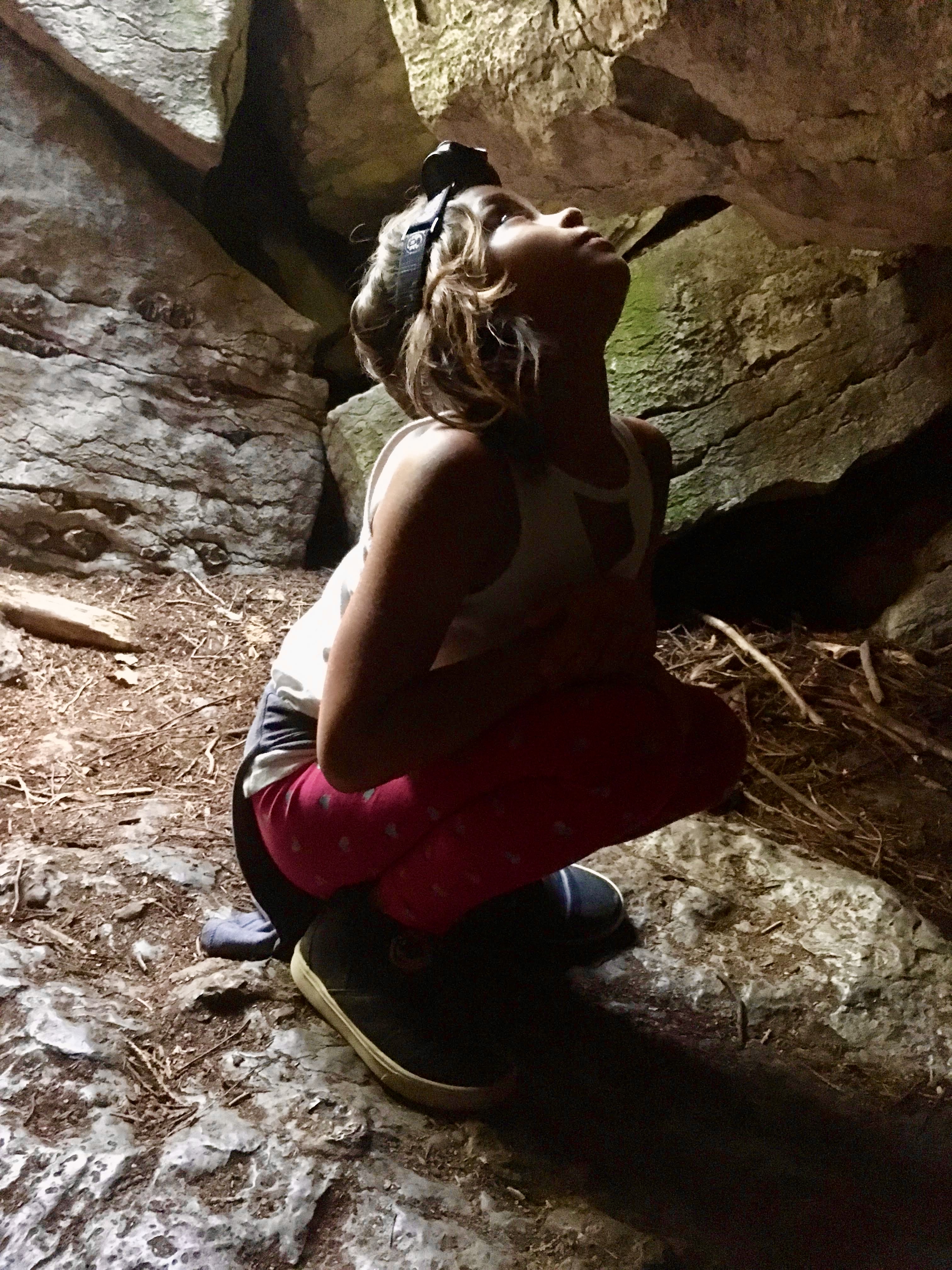 Explorer