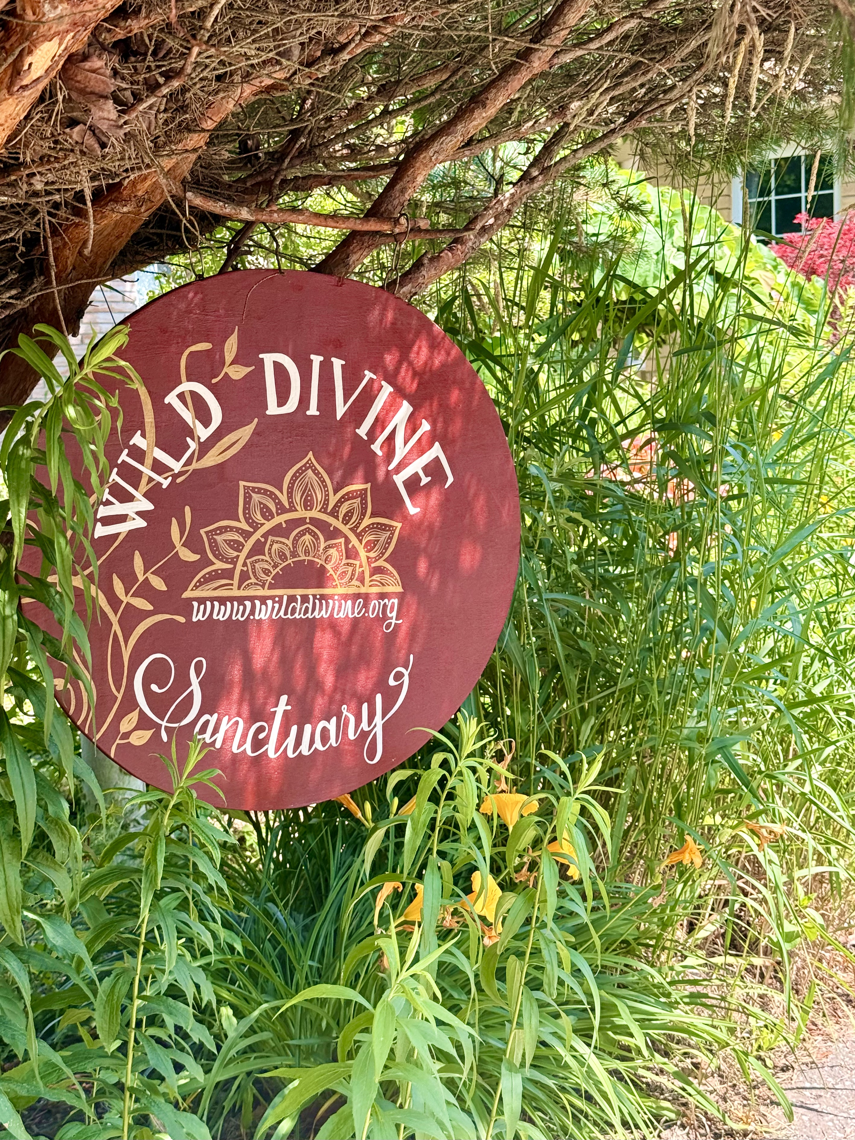 Wild Divine Sanctuary