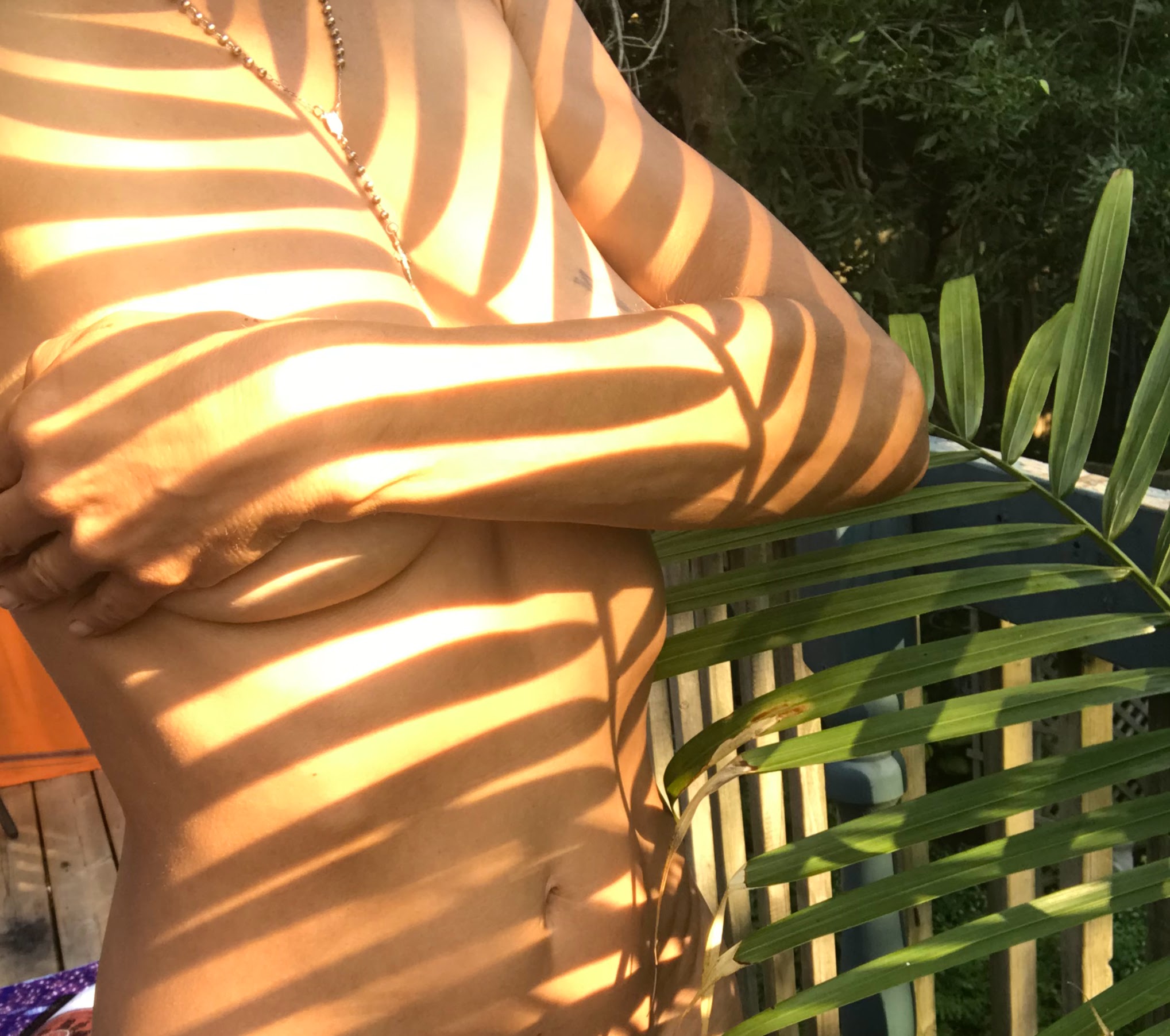 The Artistry of Life